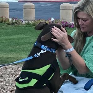 Meet your Posher, Raven